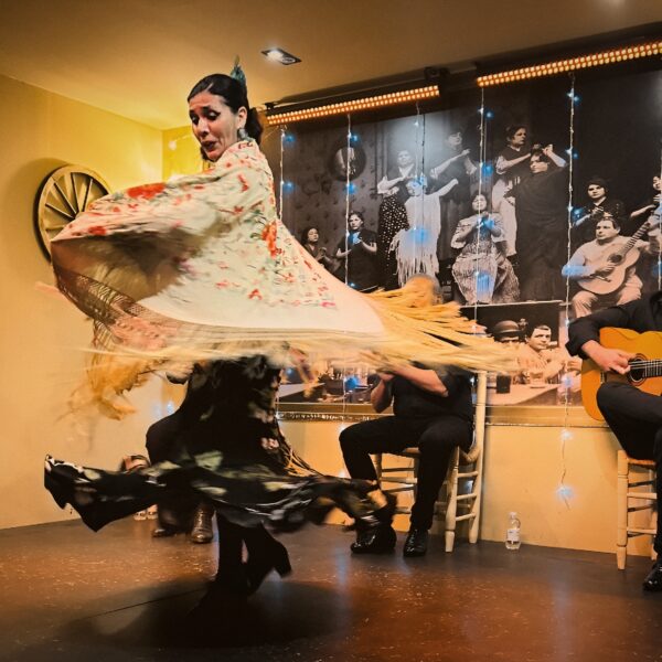 Bailaora de Tablao Flamenco Sevilla - Tablao La Cantaora