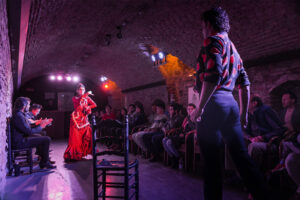 El Museo Flamenco de Sevilla - Baile en el Sotano