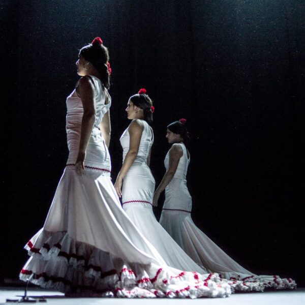 Teatro Flamenco Sevilla - Guajira Baile